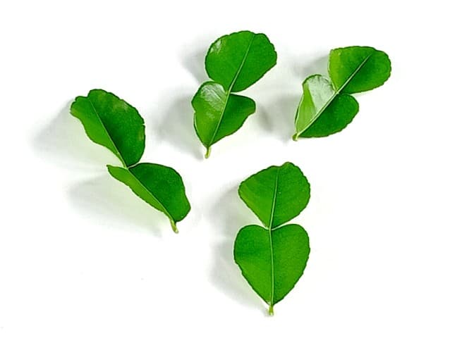LIME LEAVES