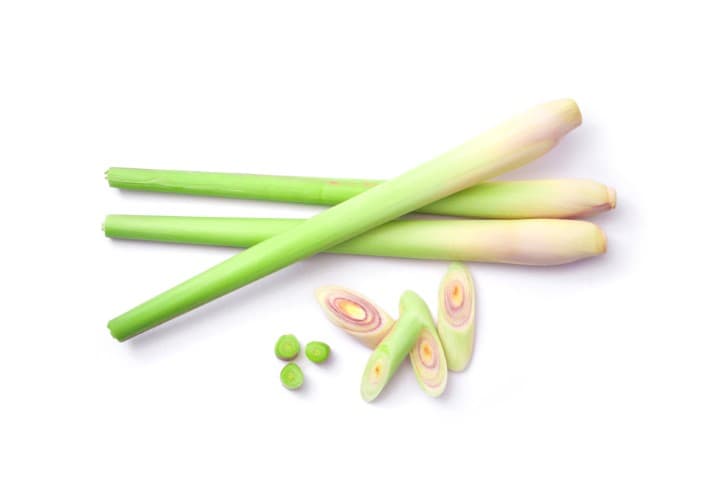 LEMON GRASS