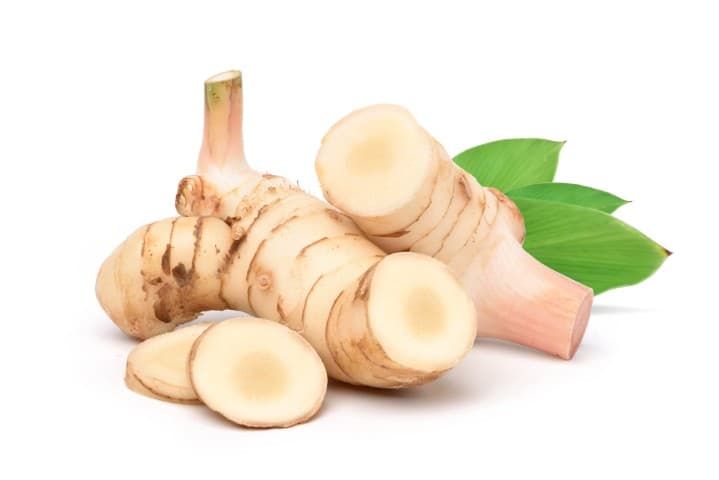 GALANGAL