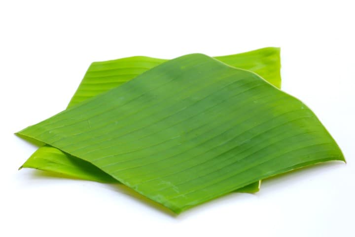BANANA LEAVES