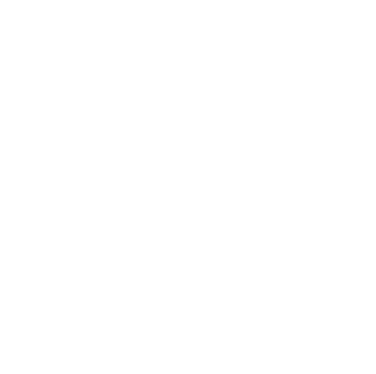 India Stamp in White